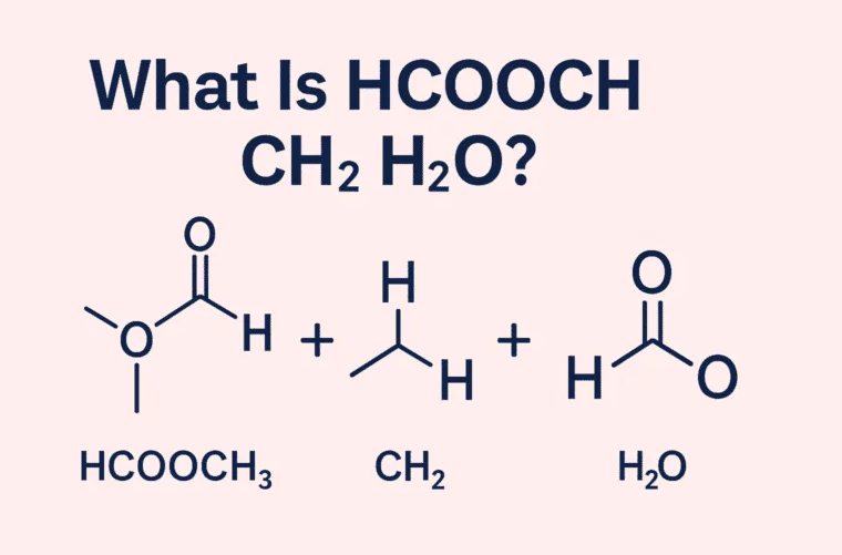The Chemistry of HCOOCH CH2 H2O: A Complete Guide